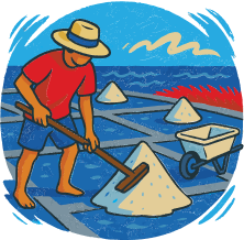 gid://shopify/MediaImage/33940018692274